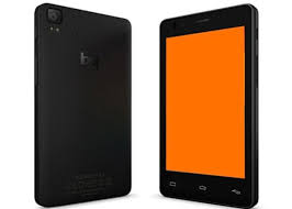 descripcion de la imagen